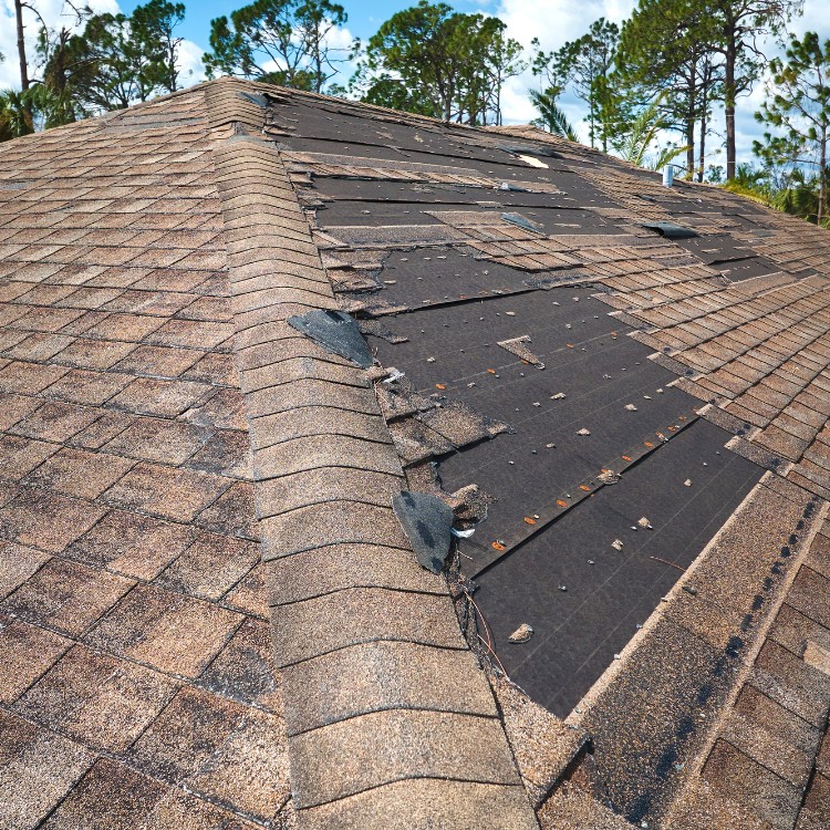 Roof Restoration Services in Sparta, GA Roof Restoration Services in Sparta, GA