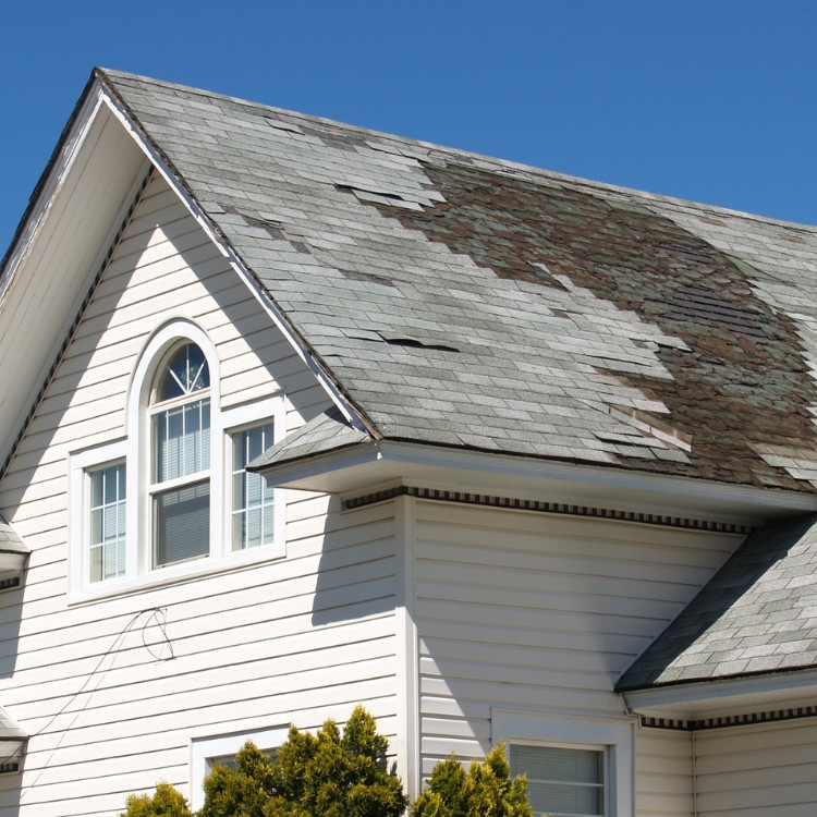 Roof Restoration Services in Sparta, GA